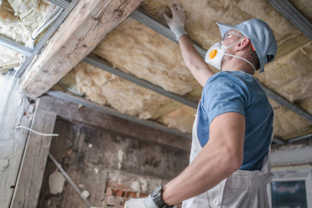 Best Insulation for Specific Applications in Severna Park, MD